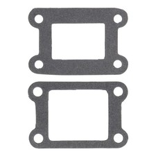 Guarnizione Collettore