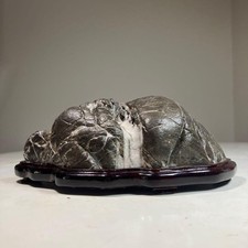 Pietra da vista bonsai