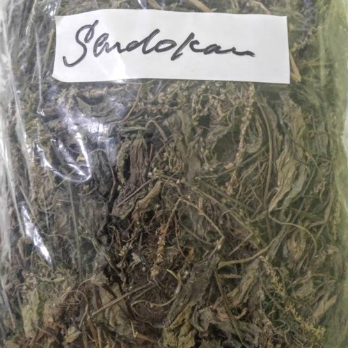 Daun sendok loose - leaf, g
