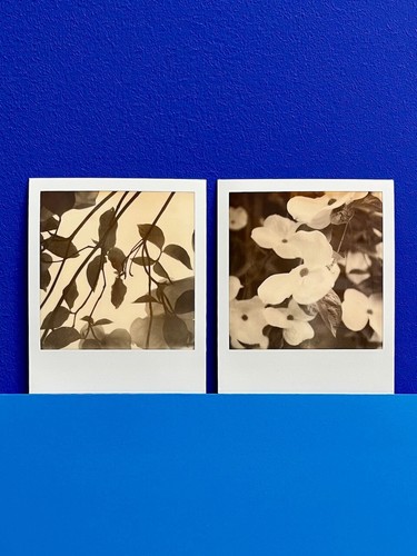 Polaroid pezzo unico - 2,