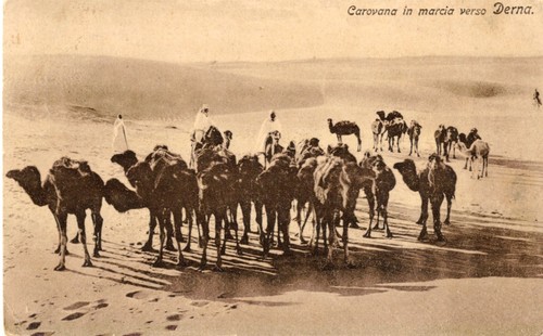 Coloniale carovana verso - coloniale, -carovana