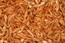 1kg di Gamberetti essiccati