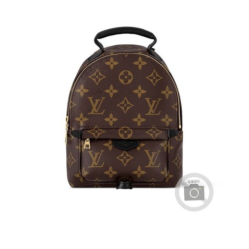 Louis vuitton palm springs - louis,