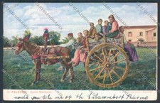 Palermo Carretto Siciliano Asino cartolina ZT8413