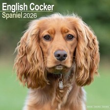 Calendario Inglese Cocker