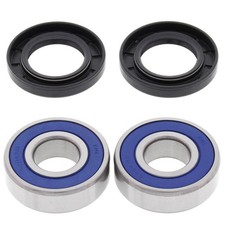 25-1379 ALL BALLS KIT