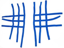 Nerfbar Netz für Polaris