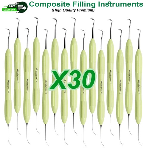 30pz fessura dentale - fessura,