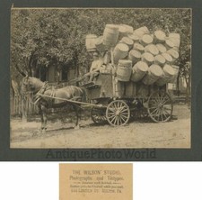 Uomo Barile Venditore N