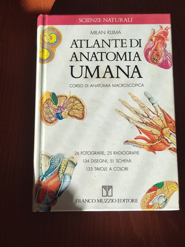 Atlante anatomia umana - atlante,