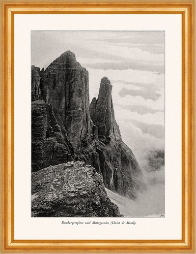 Punta bamberga dente - punta,