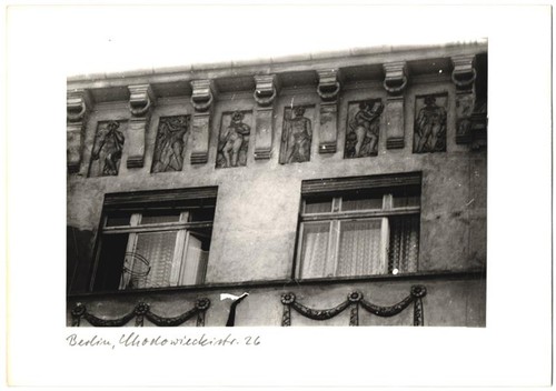 Fotografia schimmel - f., m.