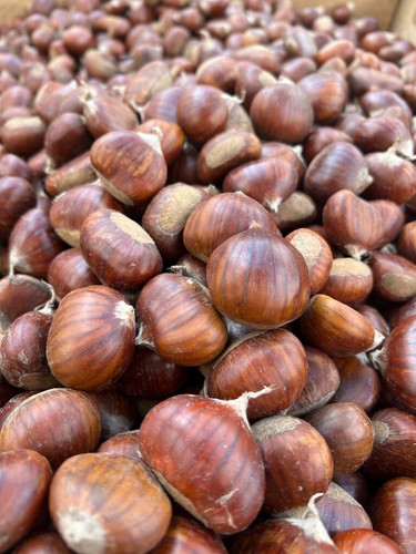 Castagne marroni dei - kg,