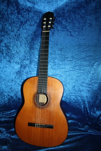 Bella vecchia chitarra meister - chitarra,