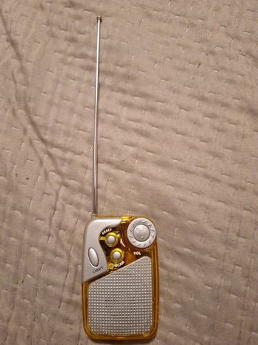 Radiolina scan automatica - radiolina,
