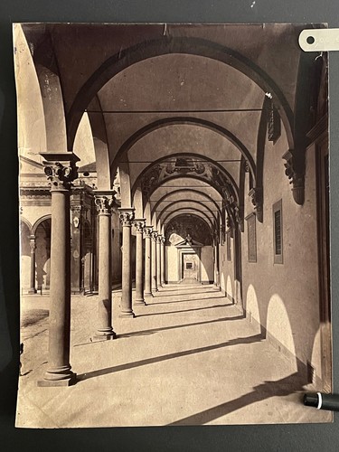 Italia albumina firenze - albumina,