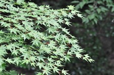 [Testato!/Quasi come nuovo-]