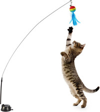 Gioco Gatto, Giochi Con Piume