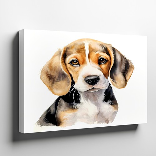 Carino beagle cucciolo - carino,