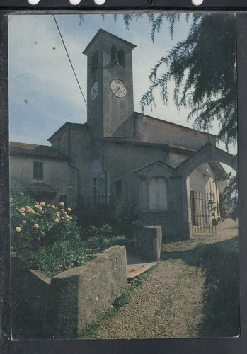 Cartolina ara frazione - ara,