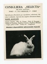  CARTOLINA - Conigliera Selecta - Forli   PUBBLICITARIA  C313