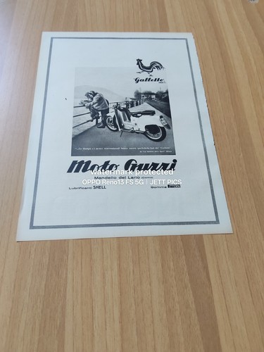 1951 moto guzzi scooter - ,