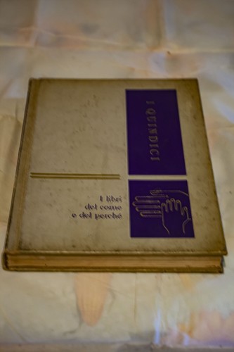Volume quindici numero 15 - quindici,