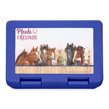 Amici dei cavalli gregge di