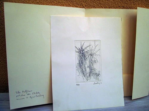 Opera grafica incisione - opera,