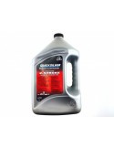 Quicksilver olio Premium TC-W3