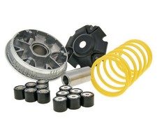 Variatore MALOSSI Multivar