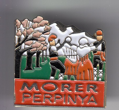 Rare pins pin tourisme - rare, pin's