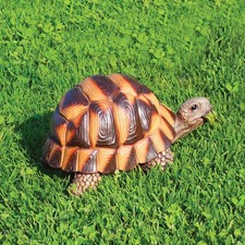 Tartaruga Media in Resina H14