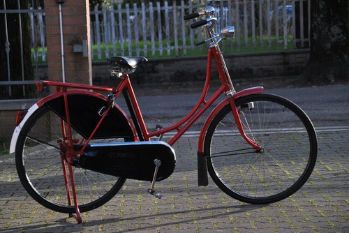 Bicicletta pon olandese - bicicletta,