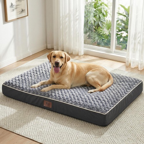 Cuccia per cani grande - cani, di
