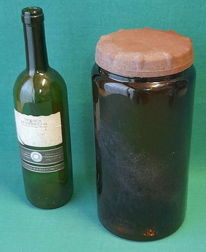 Antico vaso barattolo umberto - antico,