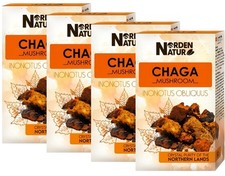 Porling di betulla Chaga 4 x