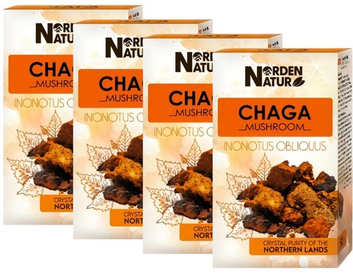 Porling betulla chaga x - betulla, 4