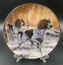 Piatto decorativo muro parete