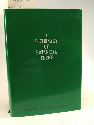 Dizionario termini - un,