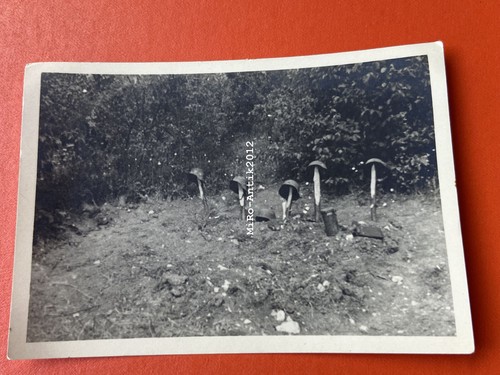 Foto ww2 tombe di - foto,,