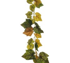 Ghirlanda Vite Cm 180