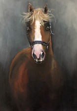 Arte Cavallo Originale Firmato,Dipinto Olio,Equino,Equestre,Arte,Animale 20x30 Cm