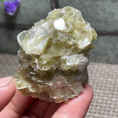 Grappolo mica gialla - grappolo, di