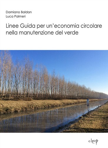 Linee guida per economia - linee, un'economia