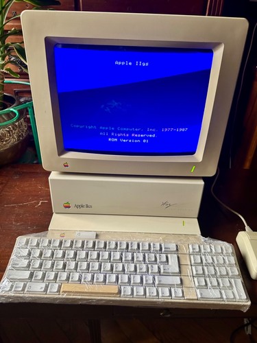 Apple vintage iigs woz - iigs,