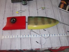 ESCA PESCA BASSO GIGANTE IN