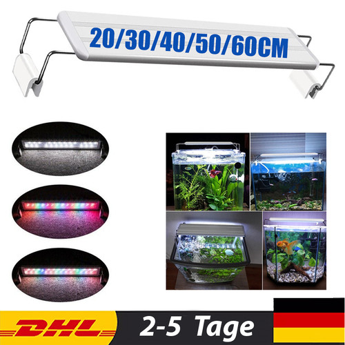 Illuminazione acquario 60cm - illuminazione,