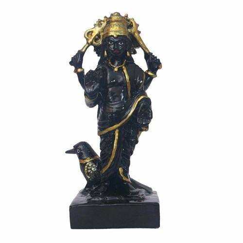Statua lord shani - lord,