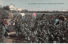 Agricoltura - N°81317 - I